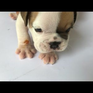 Meet your Posher, Charvi